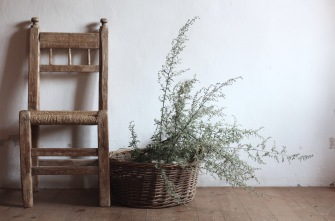 wild grass and old, rustic chair