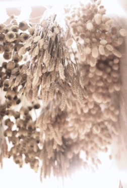 dried flowers hanging installation