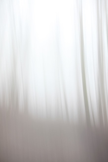 blurry winter forest
