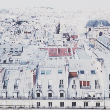 Paris rooftops via anastasiabenko.com