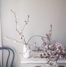 pink spring blossoms on marble counter