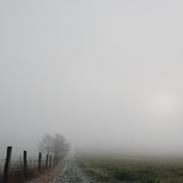 foggy landscape, Germany via anastasiabenko.com