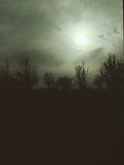 Moody landscape with November sun