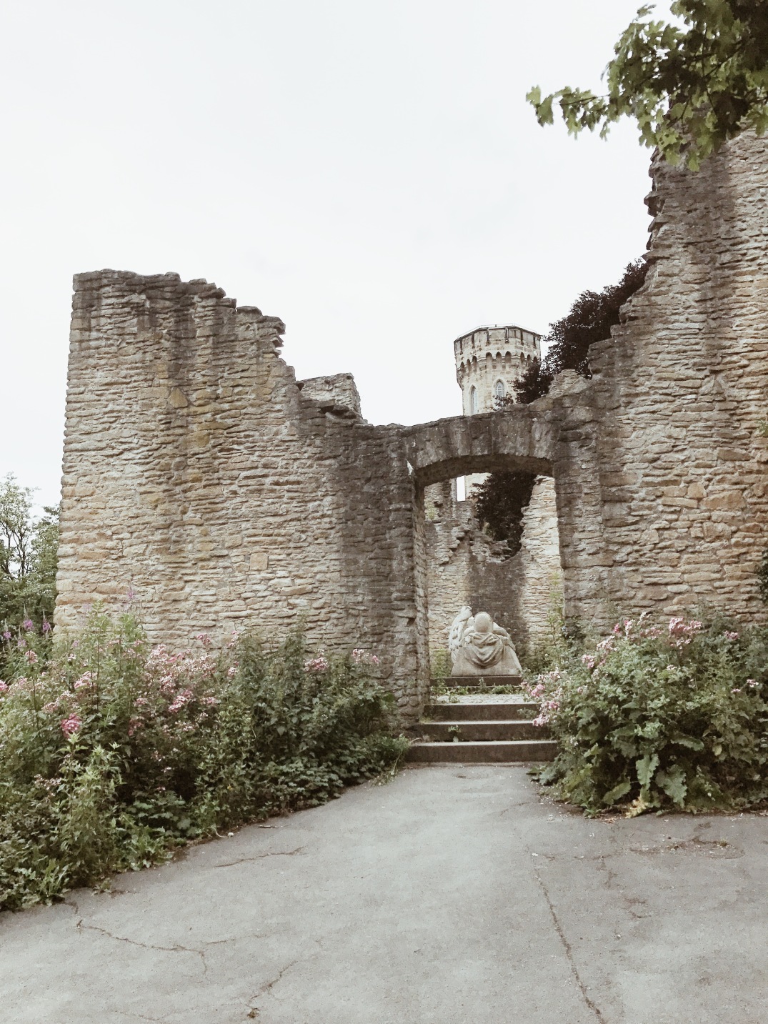 Visit Hohensyburg, Germany, castle from the Middle Ages with pink wild roses