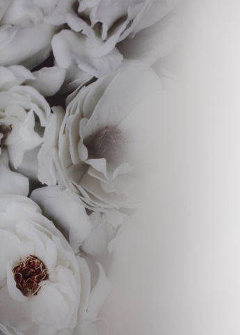 Anastasia Benko moody white roses print